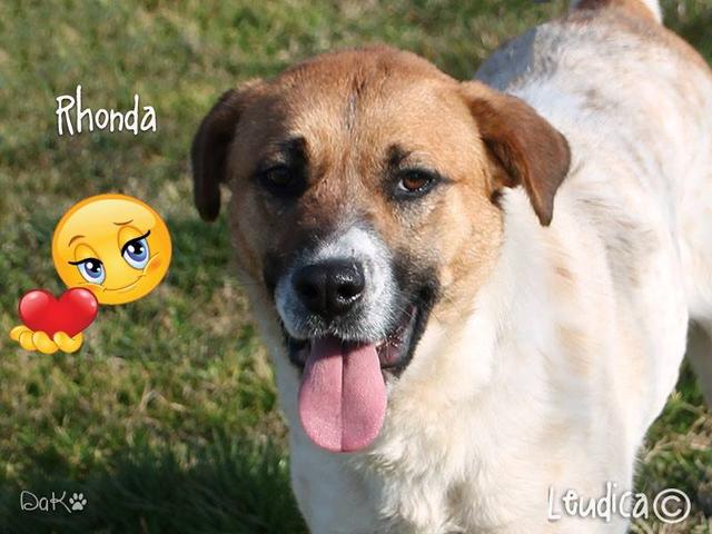 Rhonda ha trovato famiglia!